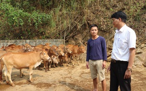 Đồng vốn Agribank tiếp sức, nông dân Phù Yên trở thành triệu phú