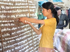 Lâm Đồng: Giá kén tụt dốc, nuôi tằm lao đao vì dịch Covid-19