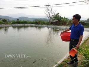 Điện Biên: Lên núi đào ao đẹp nuôi cá, nuôi vịt, thu 800 triệu/năm