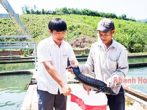 Khánh Hòa: Lên non hẻo lánh nuôi toàn loài cá lạ, bán đắt tiền