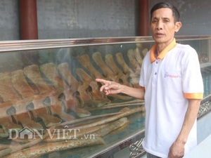 Thanh Hóa: Bộ xương "Cá Ông" khổng lồ được dân lập đền thờ cúng
