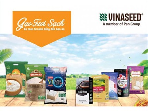 Dịch Covid-19: Vinaseed Group cam kết bình ổn giá, đáp ứng đủ nhu cầu gạo