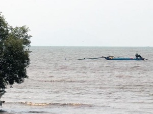 Truy tìm tàu hàng đâm chìm tàu cá Phú Yên tại biển Bình Định