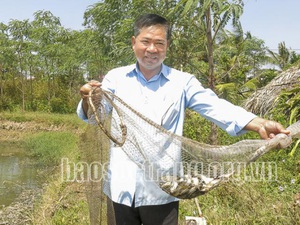 Trồng na Thái ra trái to bự, vườn đẹp như phim, anh nông dân Sóc Trăng bất ngờ trúng lớn- Ảnh 6.