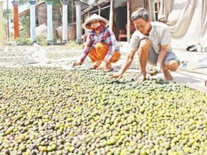 Làm giàu khác người: Cả làng đổ bỏ, nhặt rác này về phơi kiếm bộn tiền