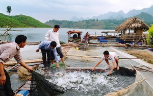 “Bà đỡ” thúc đẩy xây dựng nông thôn mới ở Quỳnh Nhai