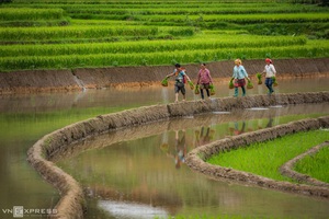 Vùng cao mùa nước đổ đẹp mê mẩn nhìn từ trên cao