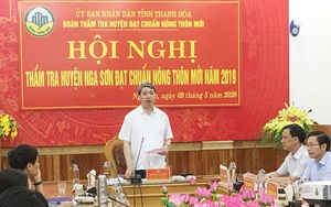 Huyện Nga Sơn (Thanh Hóa) đủ điều kiện công nhận huyện nông thôn mới
