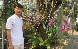 Trồng vườn lan rừng 2.000 giò, trai đẹp xứ Huế là nghệ nhân hoa lan ở tuổi 23