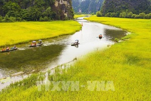 Lạc vào thiên đường Tam Cốc