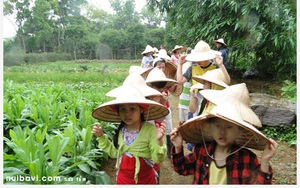 Hà Nội - đất trăm nghề “se duyên” nông nghiệp với du lịch sinh thái