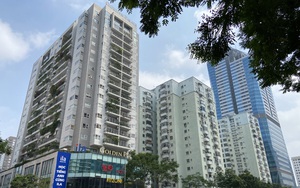 "Mê cung" thông tin khi tìm mua chung cư Handico Complex, 33 Lê Văn Lương- Ảnh 8.