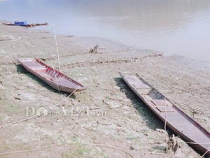 Sơn La: Sông Đà cạn đột ngột, ngầu đục, dân vật lộn đi qua bùn lầy