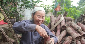 Quảng Ninh: Cả làng giàu có nhờ bắt con bò ngang, nhát chết