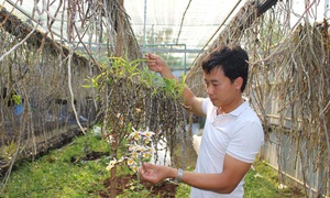 Thầy giáo đẹp trai ở Gia Lai và bí quyết độc đáo để trồng vườn lan rừng 10.000 giò