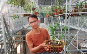 Ông chủ vườn lan đột biến tiền tỷ ở Lâm Đồng: Chăm lan kiểu công nghệ 4.0