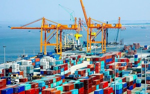 Nếu làm như Hải Phòng, TP.HCM dự kiến thu phí cảng biển hơn 2.700 tỷ đồng/năm