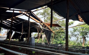 Đắk Lắk: Nhiều mái nhà, trại chăn nuôi bị gió lốc cuốn bay 