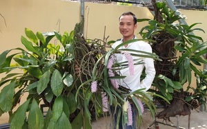 Nam Định: Từng là "gà mờ", không ngờ nay có vườn lan rừng khủng, có lan đột biến bán 4 triệu/cm 