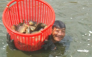 Rủ nhau nuôi cá rô đồng xuất khẩu sang Campuchia, 1ha thu 200 triệu