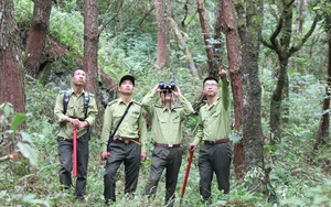 Chuyện về những người giữ rừng trên đỉnh Sam Síp