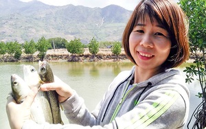 Khánh Hòa: Cho tôm sú "chung nhà" với cá đối, 2 con không "cãi nhau" mà sống khỏe có ích