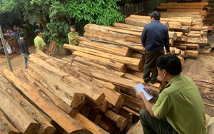 Xưởng chứa gần 200m3 gỗ, chủ doanh nghiệp bị bắt tạm giữ