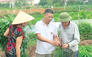 Ở Phú Thọ, đây là nơi duy nhất Việt Nam có rừng nguyên sinh núi đá vôi, la liệt động vật hoang dã - Ảnh 11.