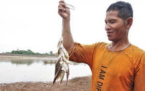 Quảng Trị: Cách bắt cá sông kỳ lạ, dùng 1 cái "vỏ sò" mà kéo lên bao nhiêu cá