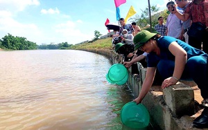 Lạng Sơn: Hơn 108.000 con cá giống được thả xuống sông Kỳ Cùng 