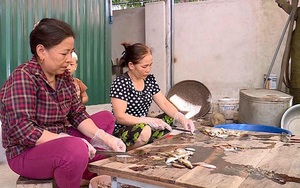 Phú Thọ: Cả làng "chế" cá thính gây nghiện, trước làm nhà ăn, nay cho cả thiên hạ thưởng thức