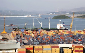 Cảng Quảng Ninh của Bầu Hiển: Loay hoay bài toán logistic nông nghiệp