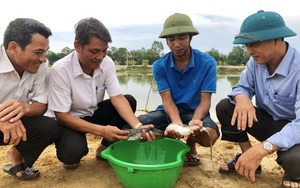 Quảng Trị: Nhiều hộ nông dân có thu nhập hàng trăm triệu đồng nhờ cách làm mới, nhất là mô hình nuôi cá leo