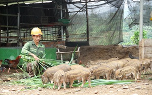 Vùng núi Kom Tum này, dân miền Tây đến đây đánh cá, làm du lịch ở đâu mà người ta đang lên xem? - Ảnh 4.