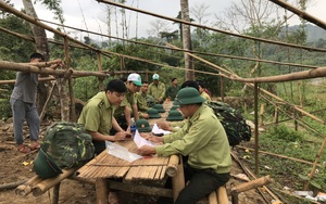 Quảng Nam thực hiện chi trả dịch vụ môi trường rừng: Rừng thêm yên, người dân thêm no ấm 