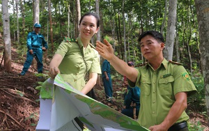 Hạt Kiểm lâm Yên Châu: Làm tốt công tác tuần tra bảo vệ rừng
