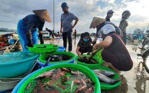 Quảng Ninh: Chuyển chợ cá Hòn Gai đến địa điểm mới, người dân Hạ Long nói gì?