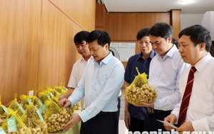 Bắc Ninh: "Tỏi An Thịnh" được trao bằng sở hữu trí tuệ về chỉ dẫn địa lý