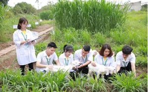 Tiêu chí nào được xét tuyển thẳng vào Học viện Nông nghiệp Việt Nam?