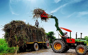 Bộ Công Thương khởi xướng điều tra với đường mía nhập khẩu Thái Lan