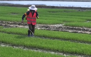 Làm không đủ ăn, nông dân Trung Quốc kẻ rời làng, người đi...bán bảo hiểm