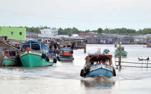 Cà Mau: Chủ tàu cá khai thác thủy sản trái phép bị đề nghị phạt 1,3 tỷ đồng