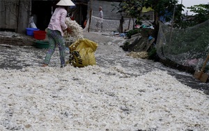 Con số báo động: 139 làng nghề ở Hà Nội ô nhiễm nghiêm trọng, chỉ 5,2% nước thải được xử lý 