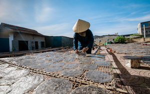 Nghệ An: Thứ bánh đặc sản giòn tan, thơm lừng của làng quê Đô Lương rộng đường xuất ngoại