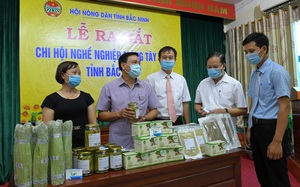 Trồng "rau hoàng đế", nông dân Bắc Ninh liên kết thành lập chi hội nghề nghiệp măng tây xanh