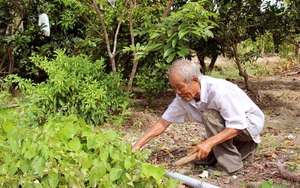 Cà Mau: Nguyên Bí thư tỉnh đoàn thu nửa tỷ mỗi năm từ khu du lịch mi ni trồng đủ thứ, nuôi &quot;lung tung&quot;