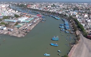 Ngư dân Bình Thuận vượt khó bám biển sau thiên tai, dịch bệnh