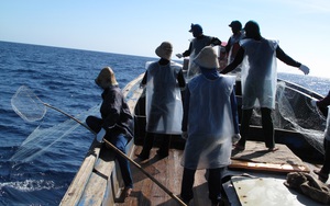 Bệnh xá đảo Sơn Ca cấp cứu ngư dân gặp nạn trên biển