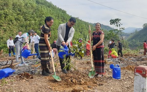 Trung tâm Truyền thông TN&MT, Bộ TN&MT thực hiện chương trình trồng cây góp quỹ một tỷ cây xanh cho Việt Nam