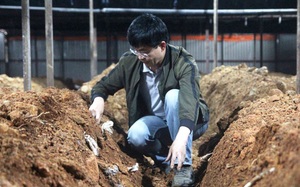 Một ông tiến sỹ ở tỉnh Lâm Đồng vừa trồng thành công loài nấm quý gì mà ví như thần dược ở Trung Quốc?